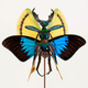 Illustration for article titled The Most Majestic Fairy Sculptures Weve Seen Are Made Out Of Insects